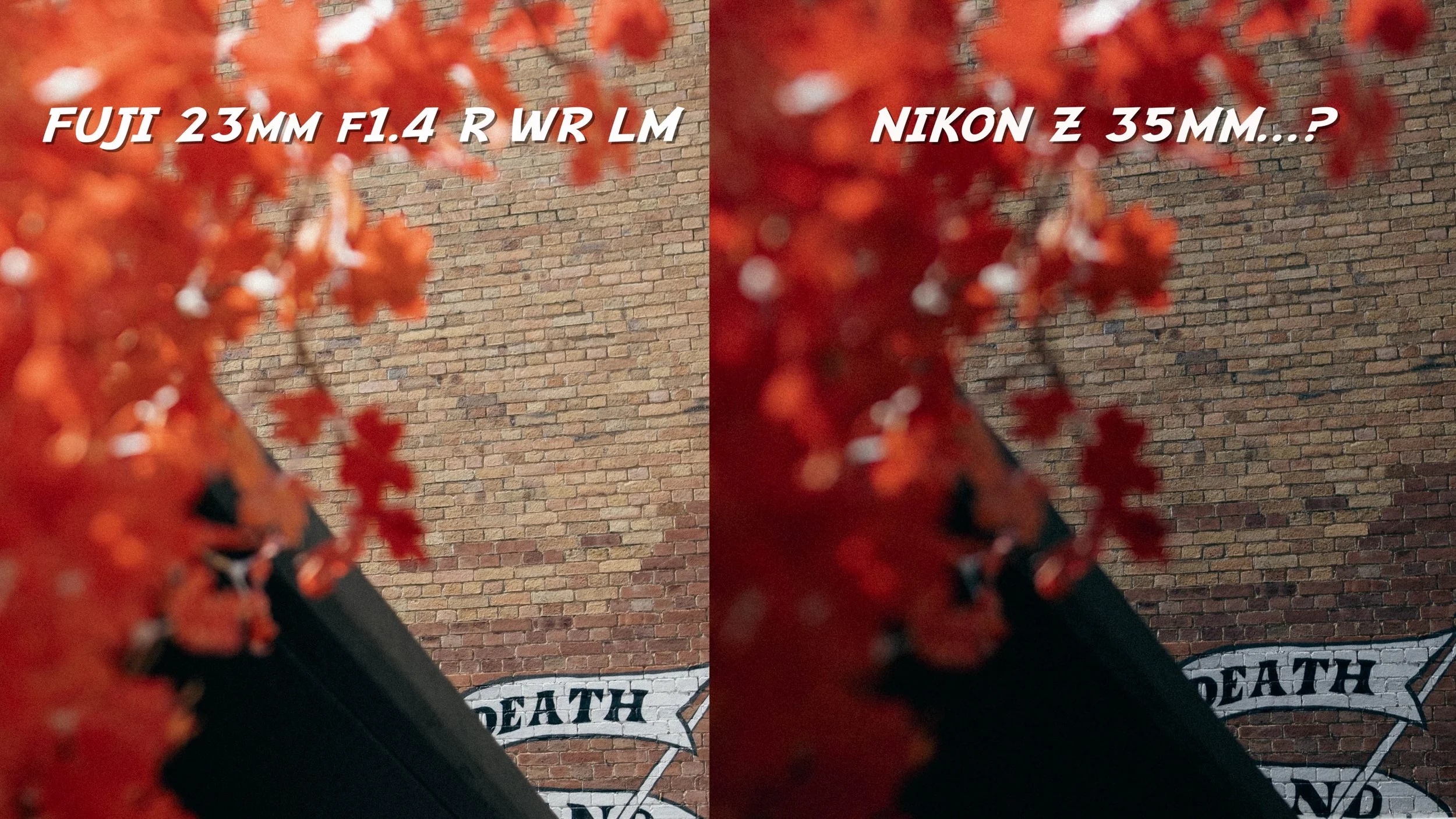 I Obsessed Over Fujifilm vs Nikon Primes? — JACK WANG